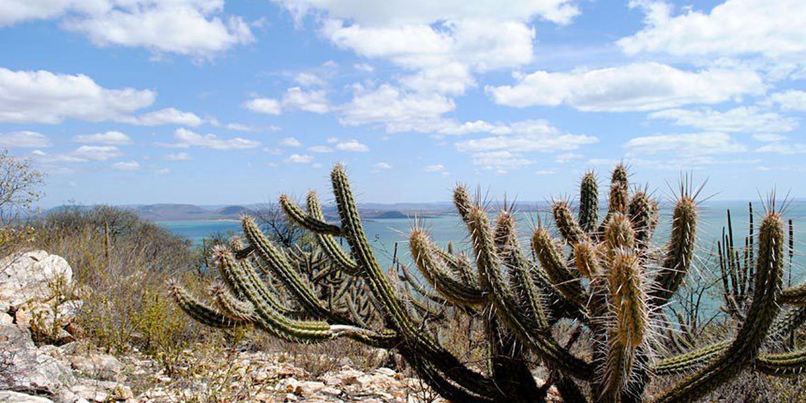 Foto: Agência Brasil - EBC