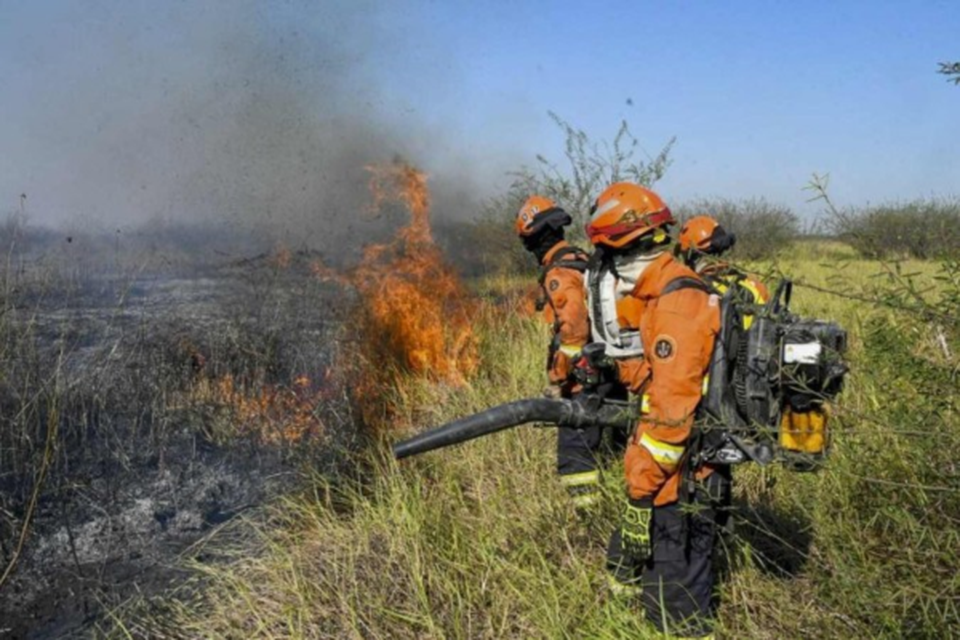 Foto: Diario de Pernambuco