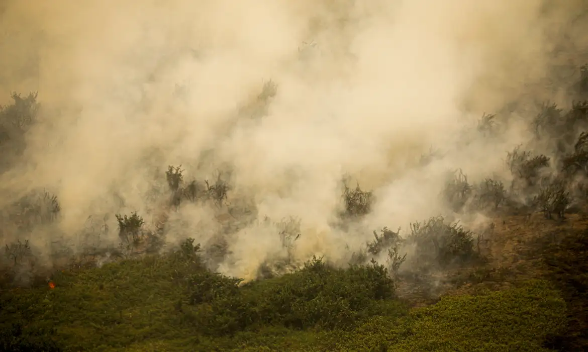 Foto: Agência Brasil - EBC