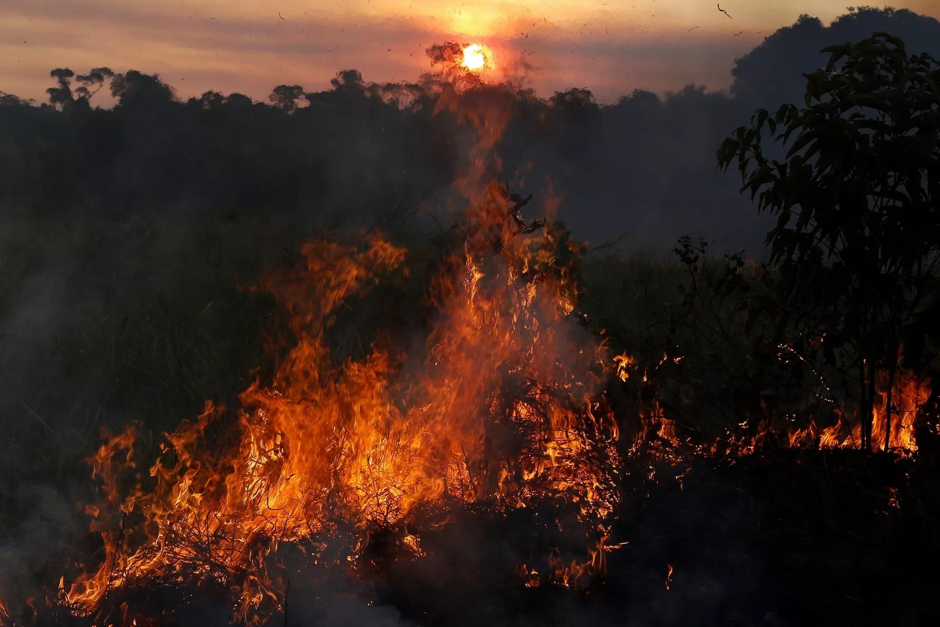 Foto: Brasil 247