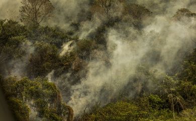 Foto: Agência Brasil - EBC