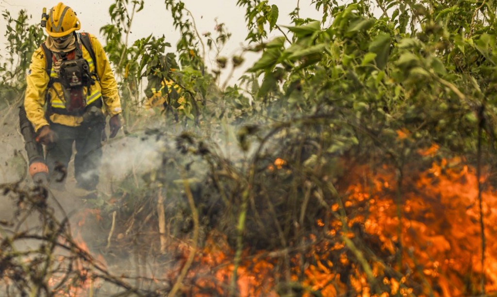 Foto: Gazeta News