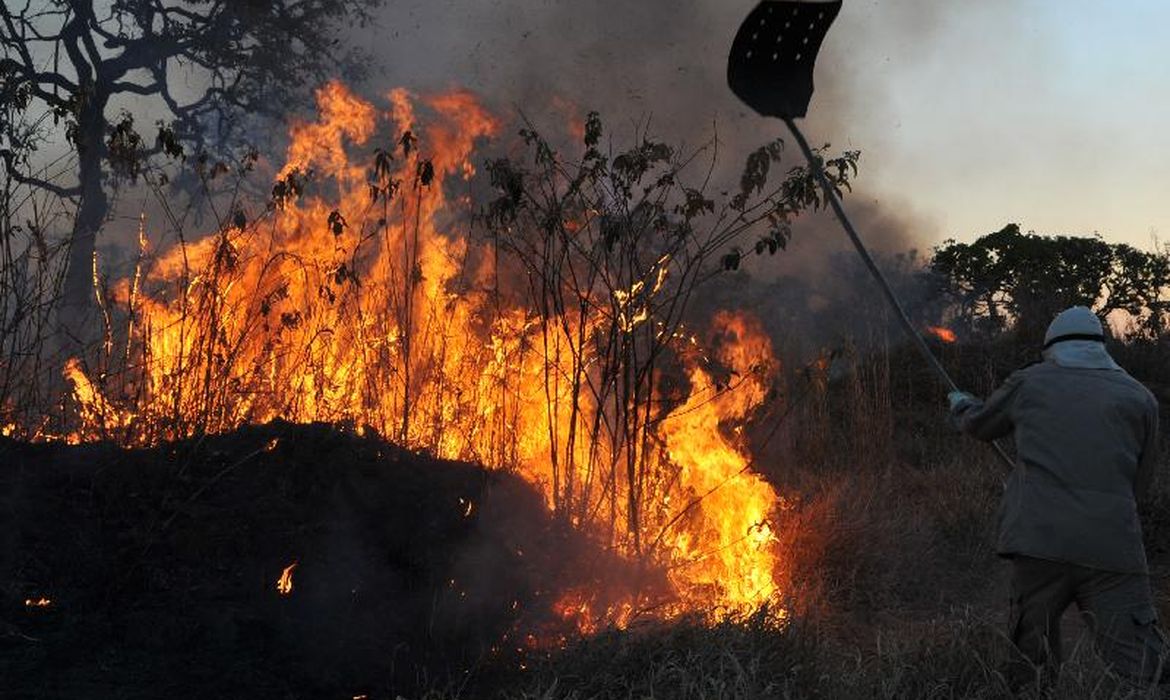 Foto: Agência Brasil - EBC