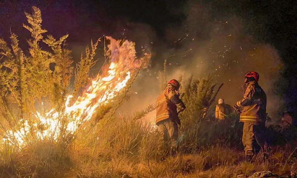 Foto: Jornal de Brasília