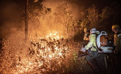 Foto: Agência Brasil - EBC