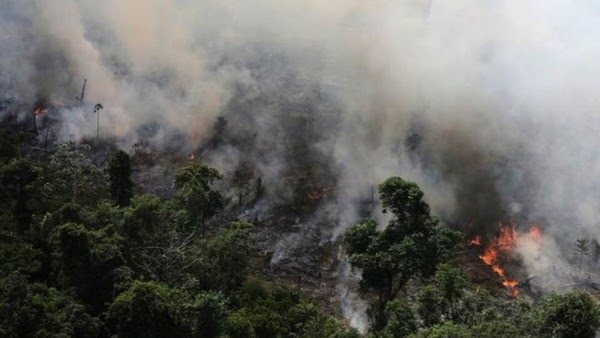 Foto: Na Hora da Notícia