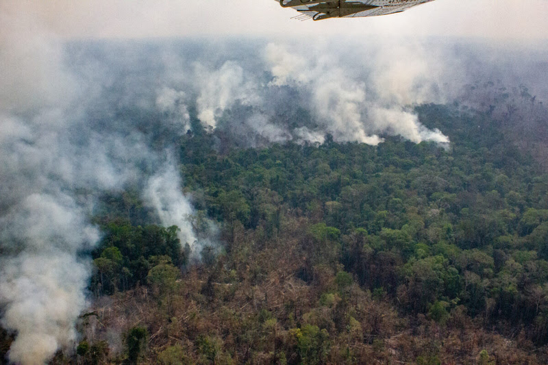 Focos de incêndio próximo de reserva ecológica do Mapinguari, no Amazonas. Foto: Fábio Bispo/InfoAmazonia