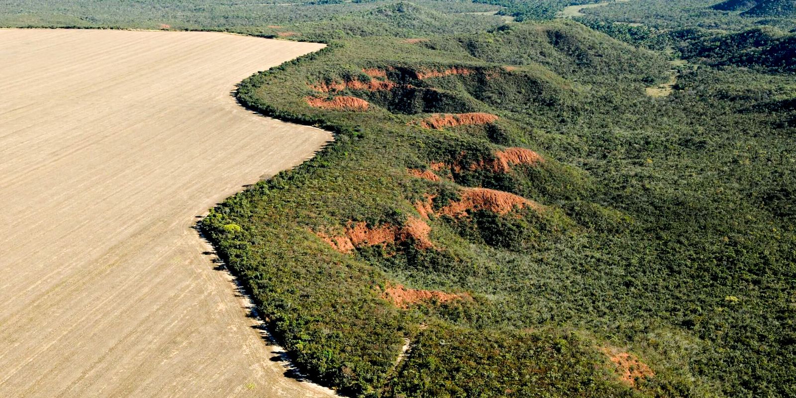 Foto: Agência Brasil - EBC